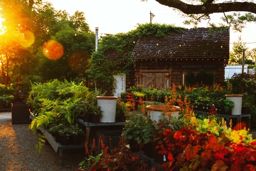 Terrain Garden Café