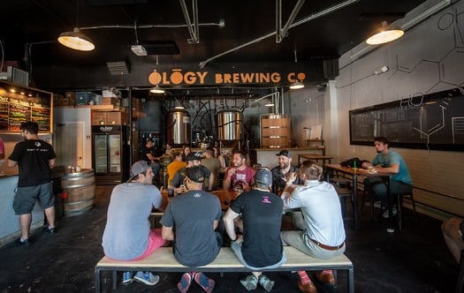 Ology Brewing Co_AAA7531