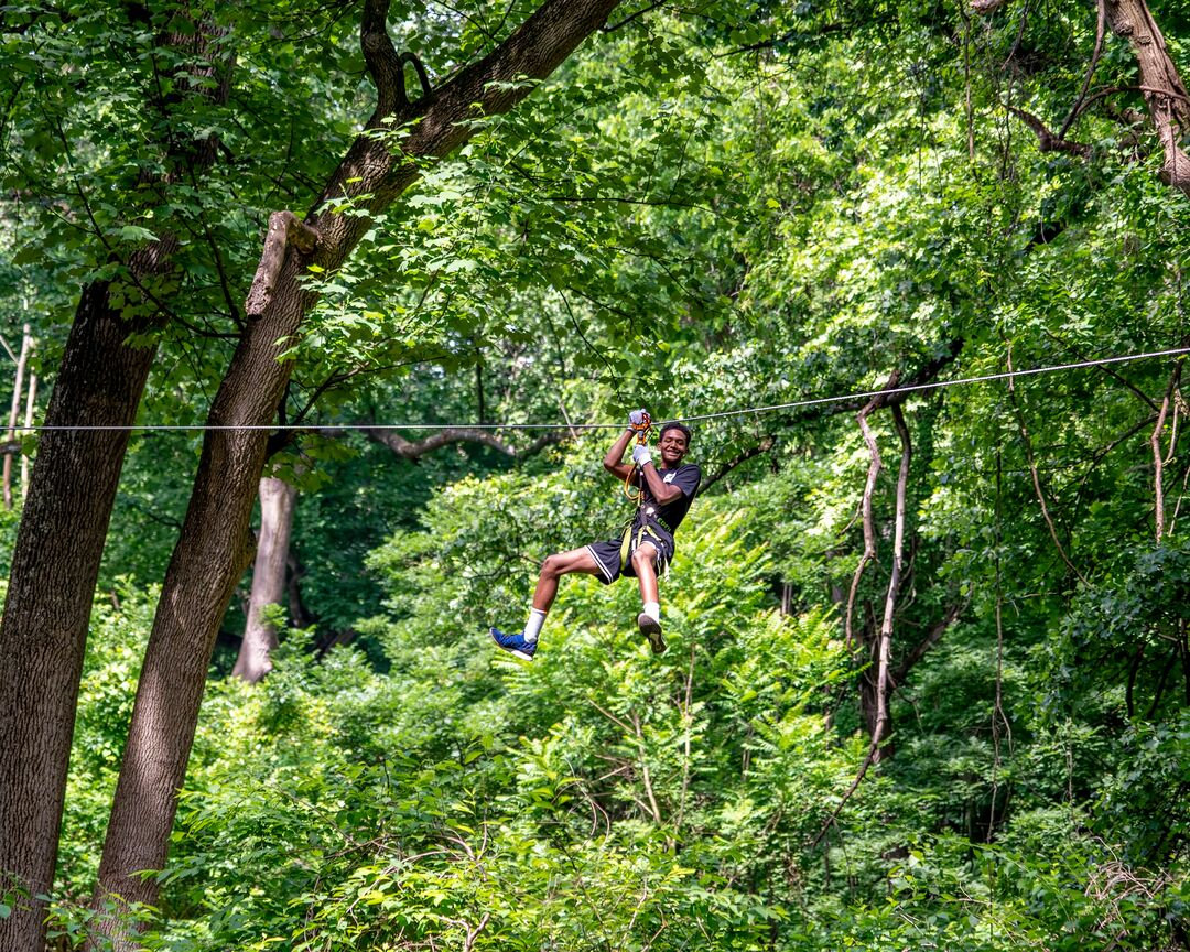 Tree Top Quest