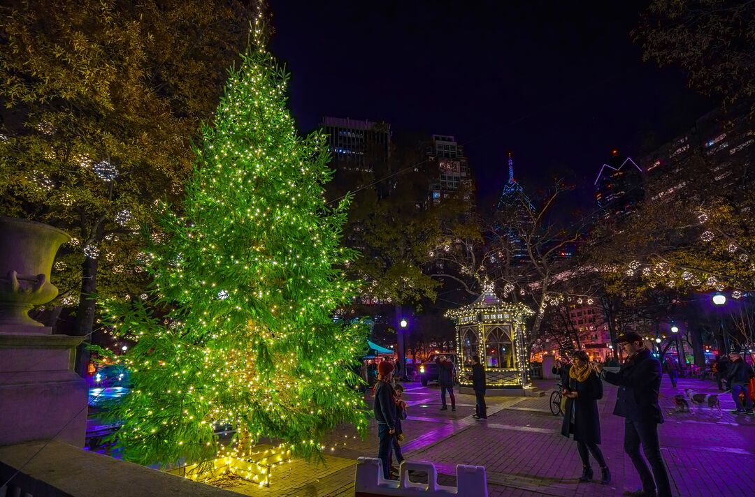 Rittenhouse Square Holiday