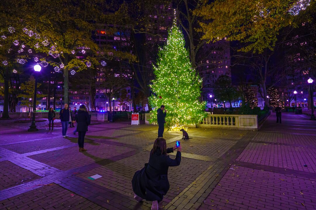 Rittenhouse Square Holiday