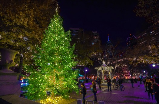 Rittenhouse Square Christmas Tree