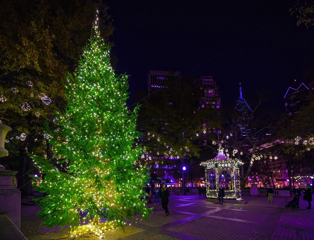 Rittenhouse Square Holiday