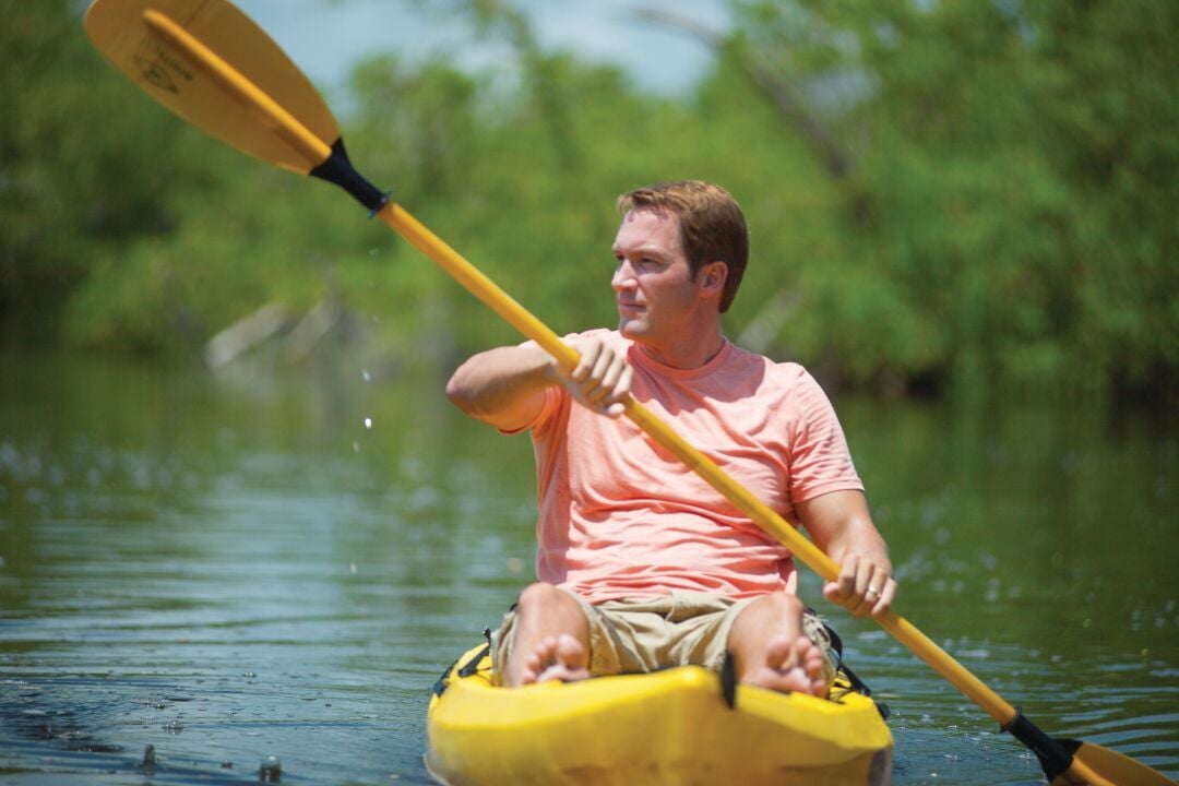 Kayaking Up Close