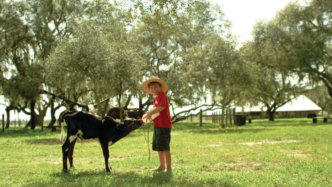 Dakin Dairy Farm