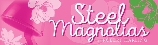 2018-2019 Season: Steel Magnolias (horiz)
