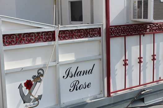 Island Rose