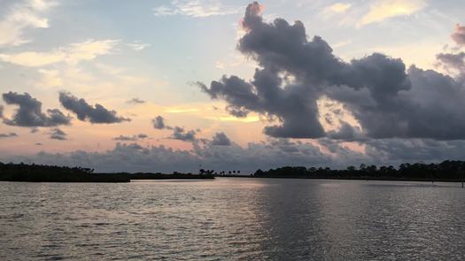 bayport River Safari