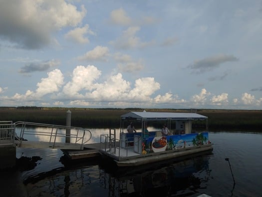 bayport River Safari