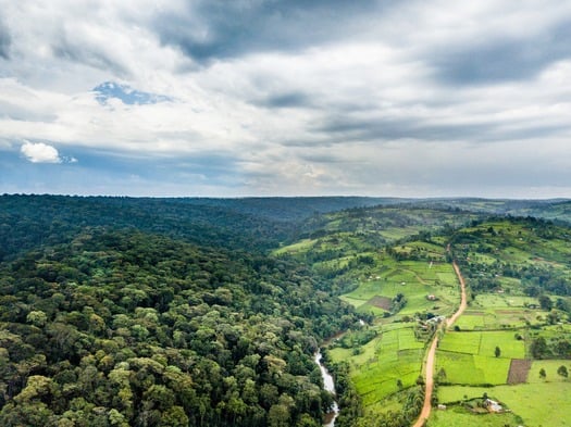 Water towers project in Mau Forest