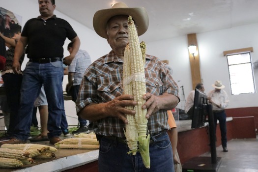 RNS-Corn-Festival10 081718
