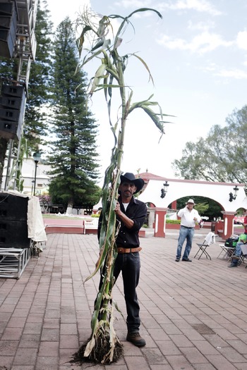 RNS-Corn-Festival07 081718