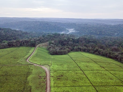 Water towers project of East Africa