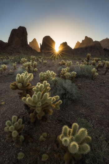 Kofa Mountains