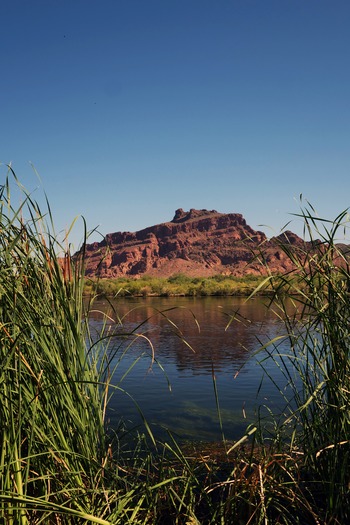 Lower Salt River