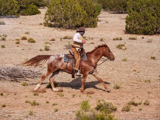 Grand Canyon Railway