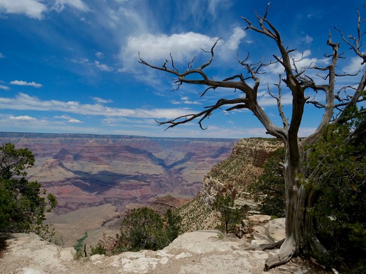 Grand Canyon National Park South Rim