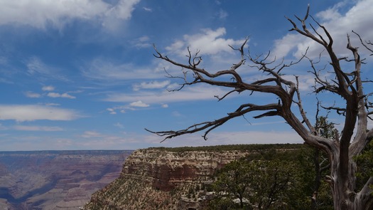 Grand Canyon National Park South Rim