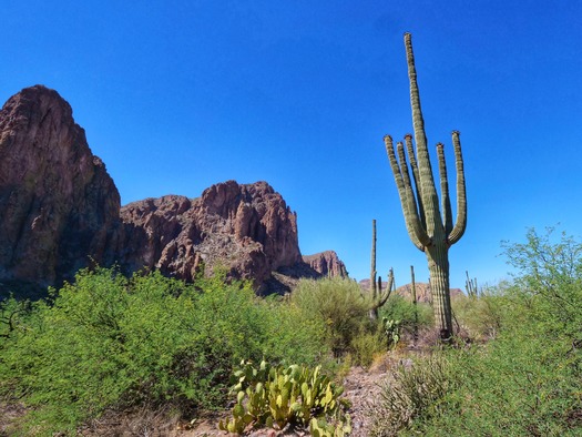 Saguaro Lake Guest Ranch, J Rui