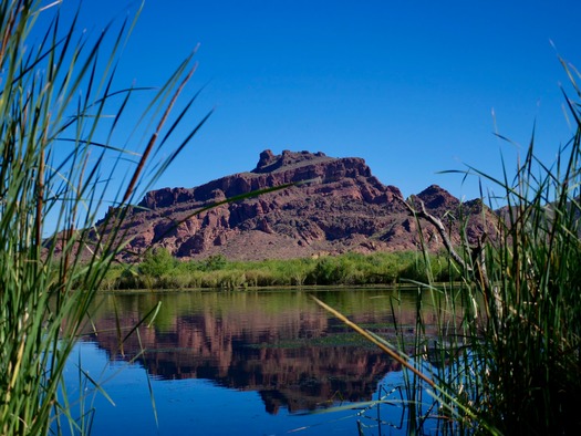 Lower Salt River