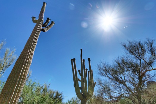 Saguaro Lake Guest Ranch