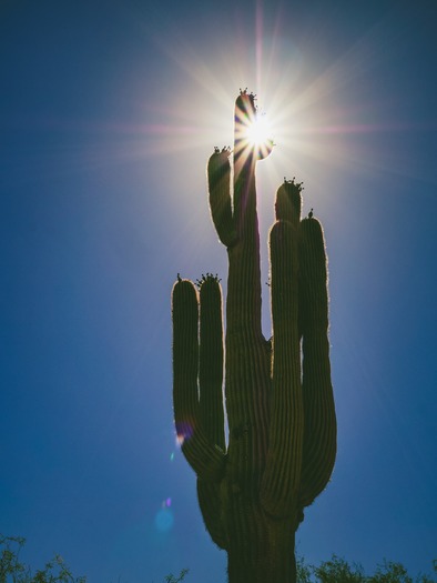 Saguaro Lake Guest Ranch