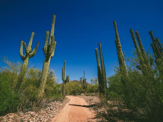 Saguaro Lake Guest Ranch