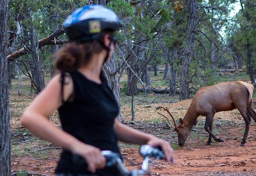 Bike Grand Canyon