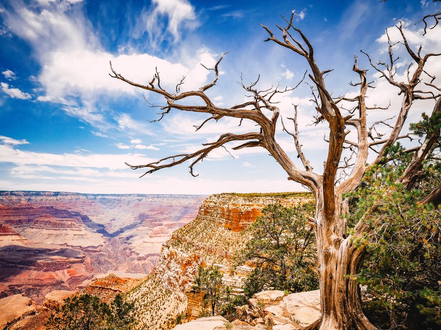 Grand Canyon National Park South Rim