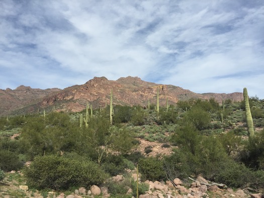 Superstition Wilderness