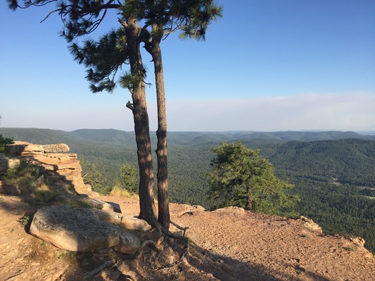 Mogollon Rim