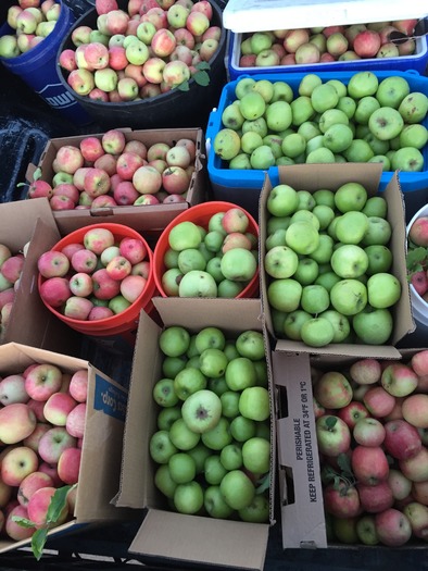 Apple Annie's Orchard