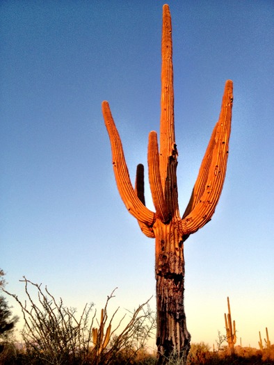 Superstition Wilderness