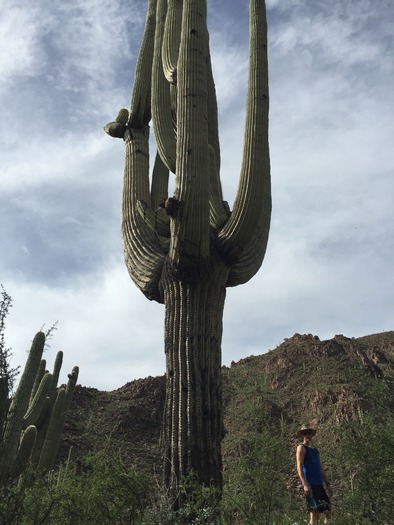 Telegraph Pass South Mountain