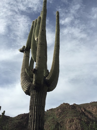 Telegraph Pass South Mountain