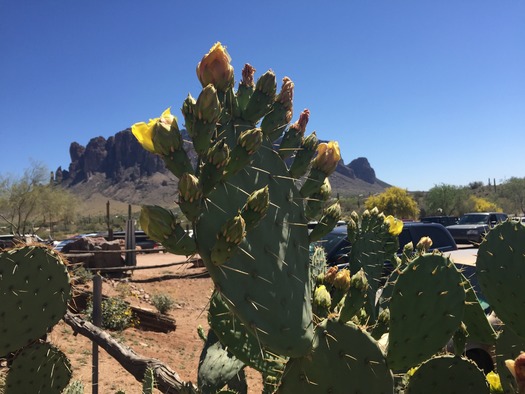 Superstition Mountains