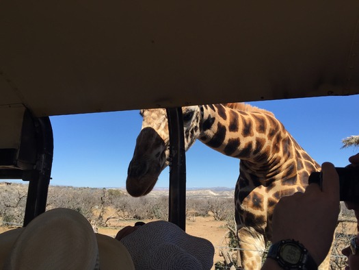 Out of Africa Wildlife Park