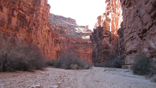 Havasupai Falls Grand Canyon