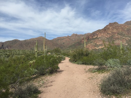 Superstition Wilderness