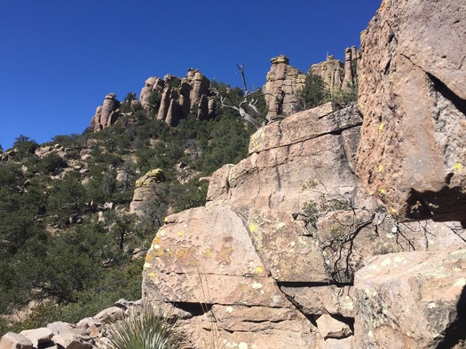 Chiricahua National Monument