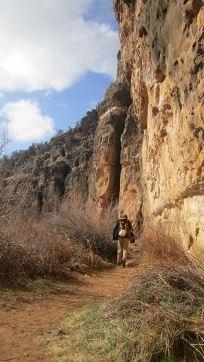 Jacks Canyon