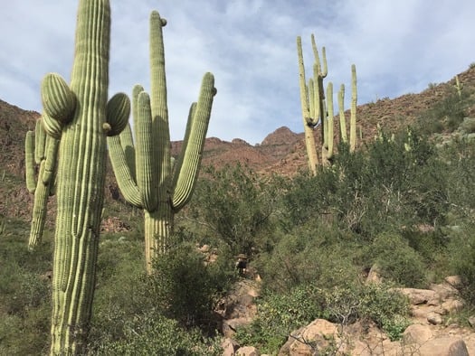 Telegraph Pass South Mountain