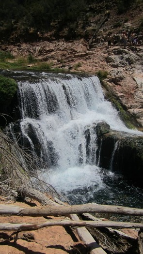 Fossil Creek, Strawberry