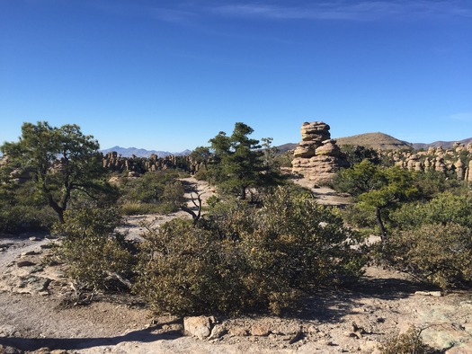 Chiricahua National Monument