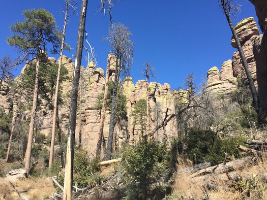 Chiricahua National Monument