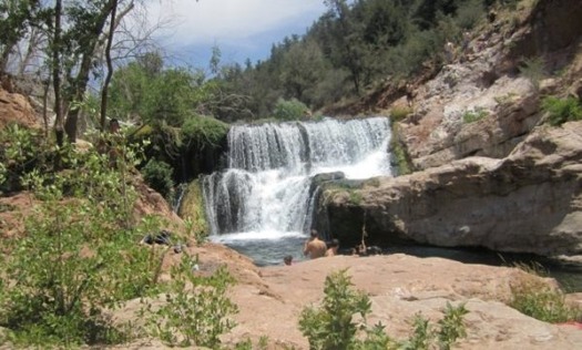 Fossil Creek Strawberry