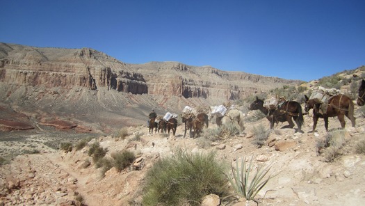 Havasupai Falls Grand Canyon