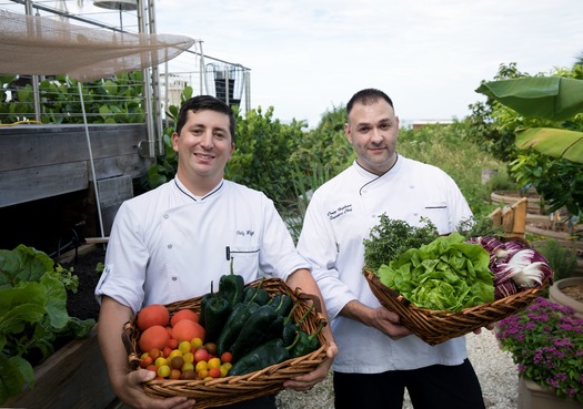 Chef's Garden at Hilton Marco Island Beach Resort & Spa