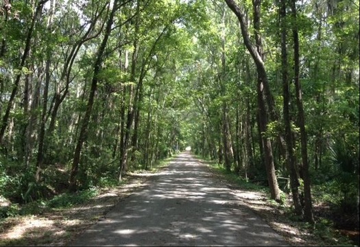 Shady Lane East of Jefferson