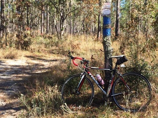 Start of the Trail thru the Forrest